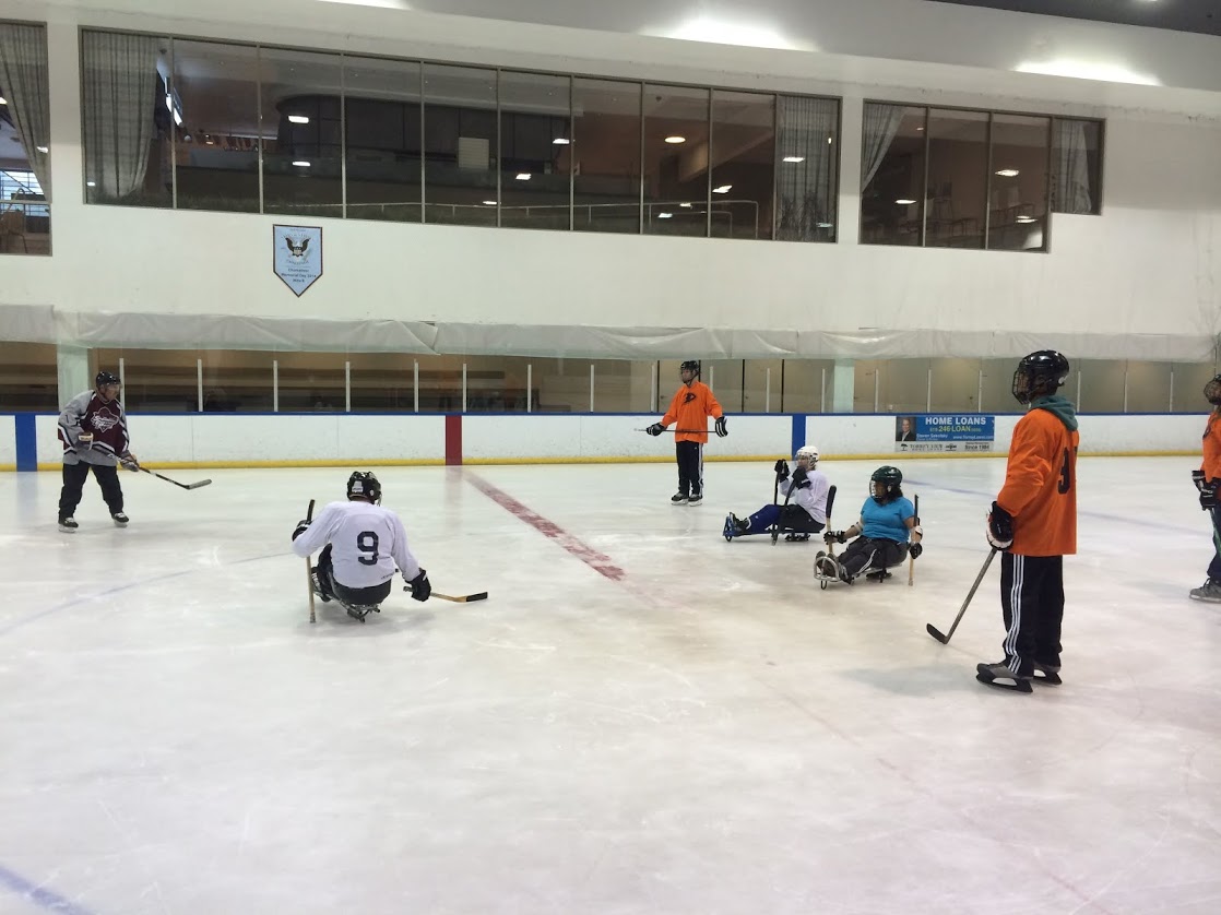Disabled hockey players participating in sled hockey