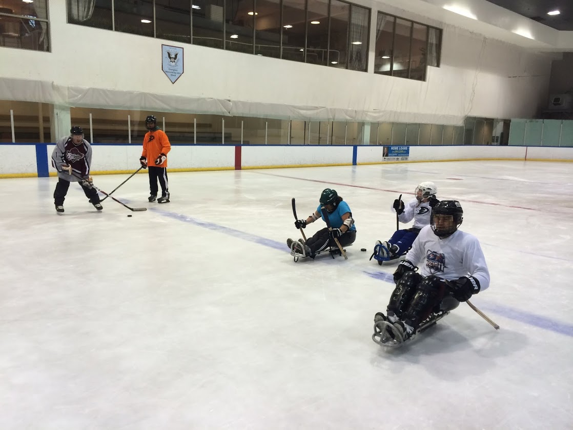 Sled hockey game action